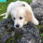 Ersteller:in Nannan Profilbild