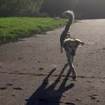 Ersteller:in Jil Profilbild