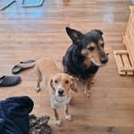 Ersteller:in Jessica Profilbild