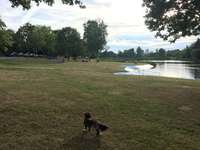 Hundeauslaufgebiet-Quellitzsee (Tauperlitzer See)-Bild