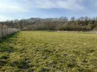 Hundeauslaufgebiet-Osterrönfeld-Bild