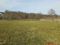 Hundeauslaufgebiet-Osterrönfeld-Bild