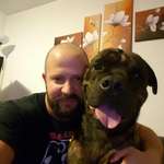 Ersteller:in Ahmet Profilbild