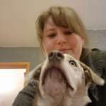 Ersteller:in Anni Profilbild