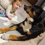 Ersteller:in Tobias Profilbild