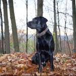 Ersteller:in Sabrina Profilbild