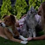 Ersteller:in Jessy Profilbild