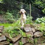 Ersteller:in Rosabella Profilbild