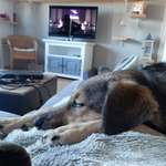 Ersteller:in hanna Profilbild