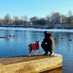 Ersteller:in Julia Profilbild