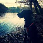 Ersteller:in Monika Profilbild