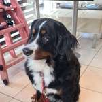 Ersteller:in Claudia Profilbild