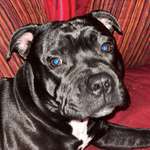 Ersteller:in Josh Profilbild