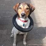 Ersteller:in Anna Profilbild