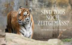 Was haltet ihr von Zoo's?-Beitrag-Bild