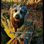 Ersteller:in Susanne Profilbild