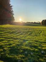 Hundeauslaufgebiet-Utopion-Bild