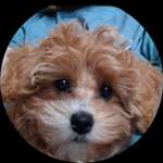 Ersteller:in Marina Profilbild