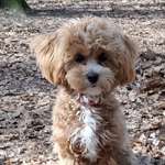 Ersteller:in Marina Profilbild