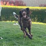 Ersteller:in Franzi Profilbild