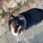 Ersteller:in Debbie Profilbild