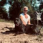 Ersteller:in Ronald Profilbild