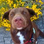 Ersteller:in Lilly und Profilbild