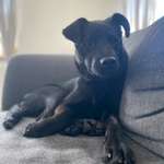 Ersteller:in Julia Profilbild