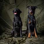 Ersteller:in Anita Profilbild