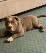 Ersteller:in Burak Profilbild