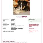 Suchmeldung-Maja-Bild