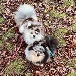 Ersteller:in Verena Profilbild