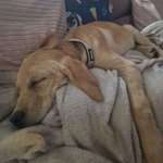 Ersteller:in Christoph Profilbild