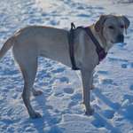 Ersteller:in Christoph Profilbild