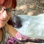 Ersteller:in conny Profilbild