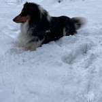 Ersteller:in Monika Profilbild