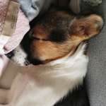 Ersteller:in Tamy Profilbild