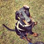 Ersteller:in Tes Profilbild