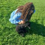 Ersteller:in Schimanie Profilbild