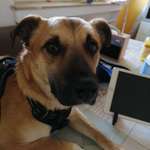 Ersteller:in Wolfgang Profilbild