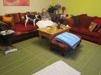Hundebetten mit Gelschaum aufwerten-Beitrag-Bild