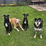 Ersteller:in Celina Profilbild