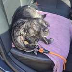 Ersteller:in Sandra Profilbild