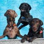 Ersteller:in Heike Profilbild