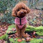 Ersteller:in Lena Profilbild