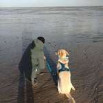 Ersteller:in V Profilbild