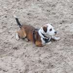 Ersteller:in Sony Profilbild