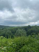 Hundeauslaufgebiet-Altstadt Park-Bild