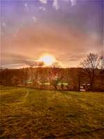 Hundeauslaufgebiet-Hammerberg-Bild