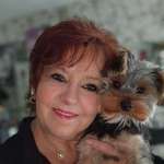 Ersteller:in Bärbel Profilbild